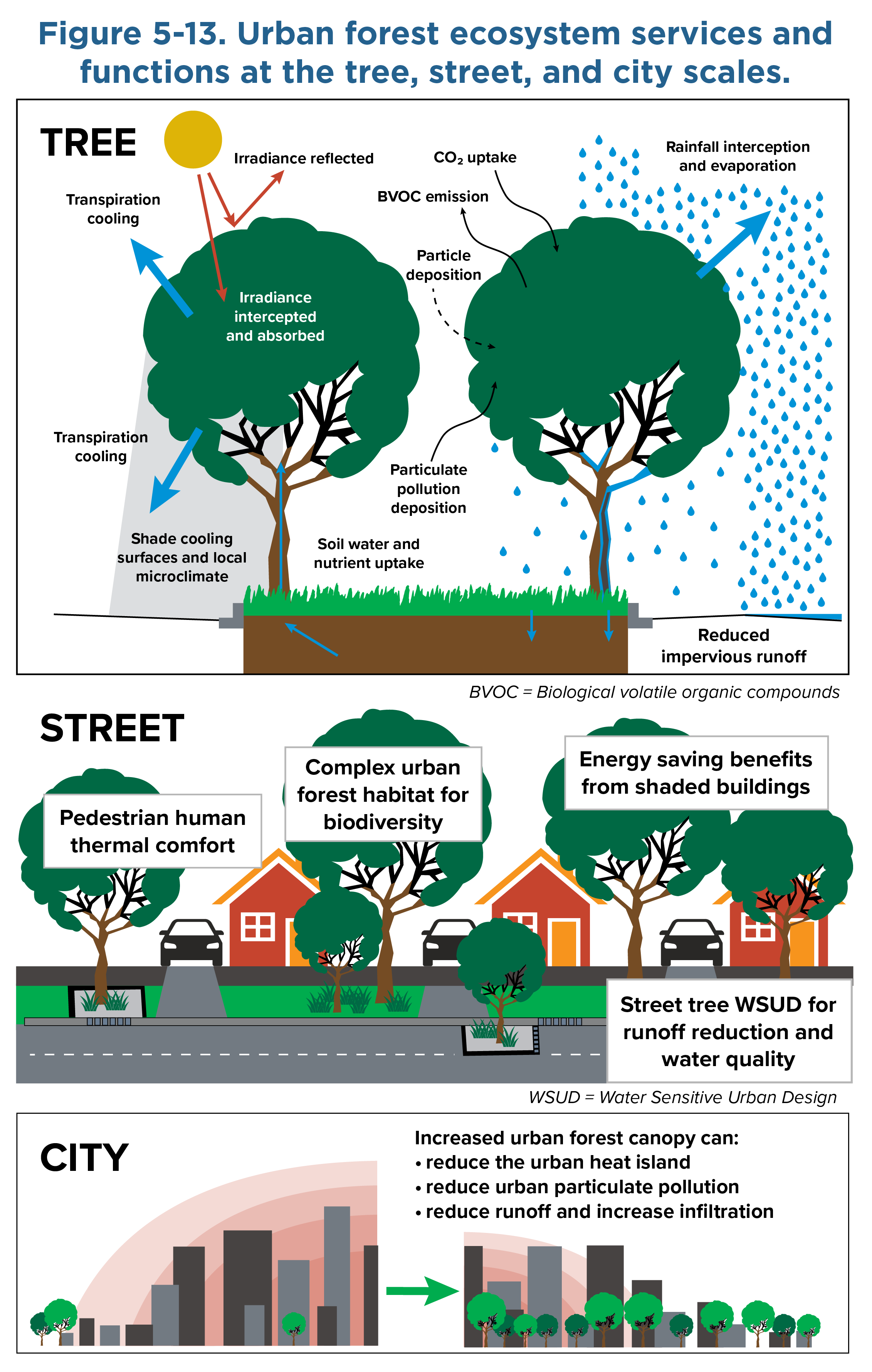 Diagram showing urban forest ecosystems at different scales. The diagram is divided into three rows. The top row shows how trees interact with the urban environment. The middle row shows urban forests at a street level, and the bottom row shows urban forests at a city level. At each scale there are labels demonstrating the benefits of tree cover. For example, at the tree scale labels include transpiration cooling, and particulate pollution deposition. At the street level, one example is energy saving benefits from shaded buildings. At the city level, one of the benefits is to reduce the urban heat island.